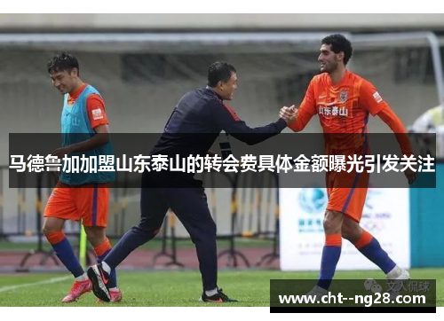 马德鲁加加盟山东泰山的转会费具体金额曝光引发关注